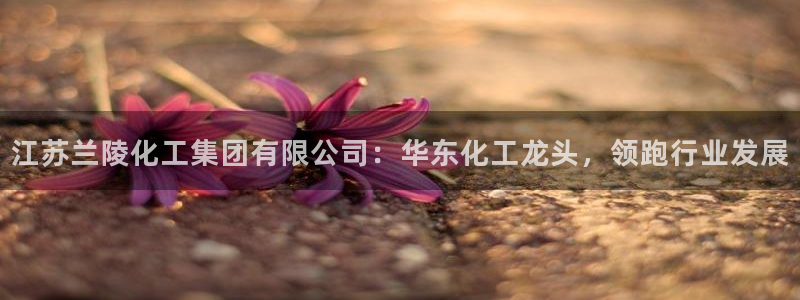球盟会qmh官网
