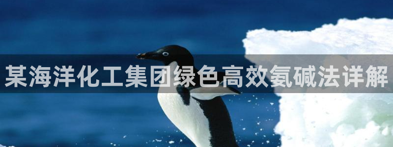 球盟会可以提现么是真的吗