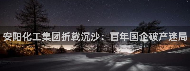 球盟会用的客服聊天是哪个软件
