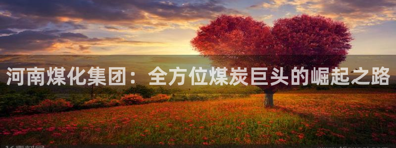 球盟会qmh官网