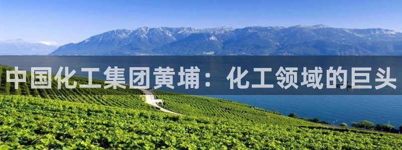 球盟会电子好黑