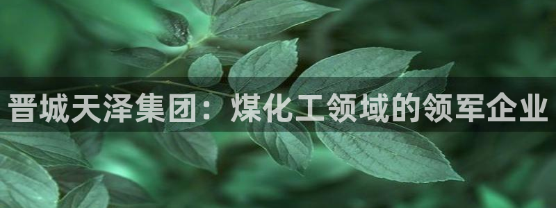 球盟会app
