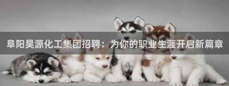 球盟会用的客服聊天是哪个软件