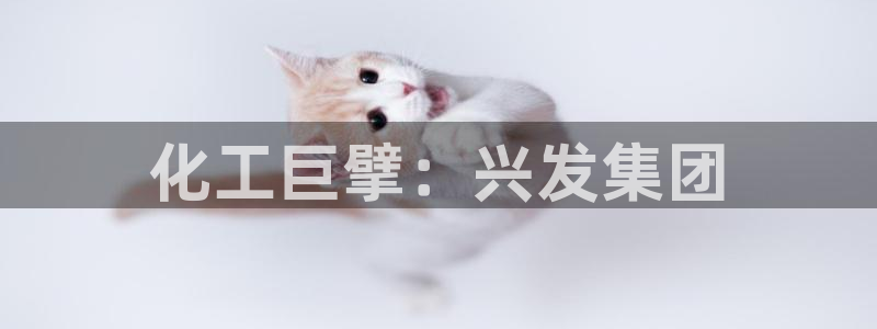 球盟会进不去吗：化工巨擘：兴发集团
