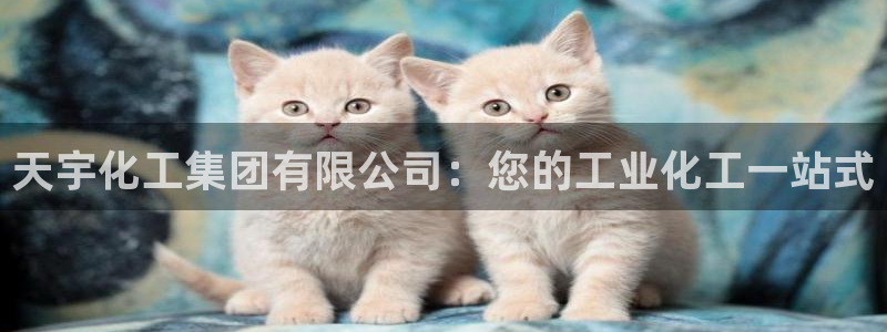 球盟会官网