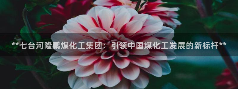 球盟会综合app下载