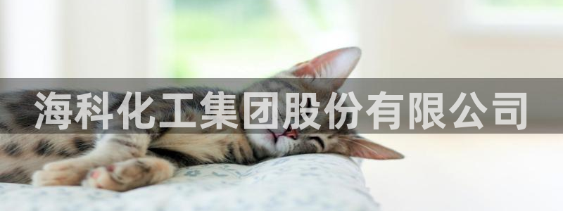 球盟会手机网页版