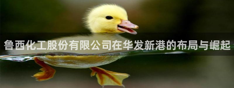 球盟会黑网