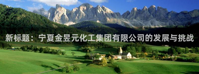 球盟会qmh网页版登录：新标题：宁夏金昱元化工集团有限公司的