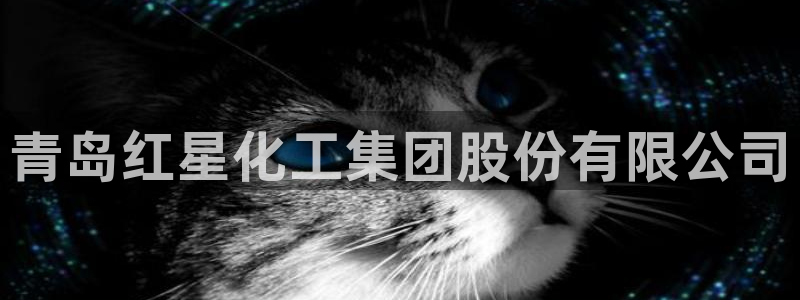 球盟会电子好黑
