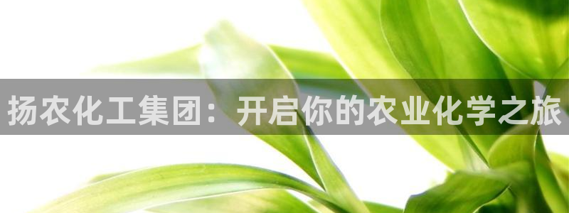 球盟会地址