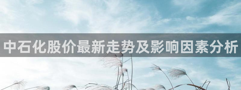 球盟会app最新地址下载