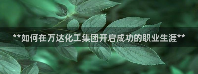 球盟会app最新地址在哪里：**如何在万达化工集团开启成功的