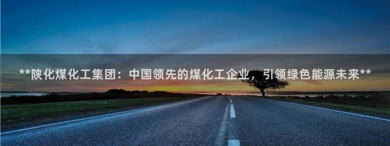 球盟会优惠领取网站：**陕化煤化工集团：中国领先的煤化工企业