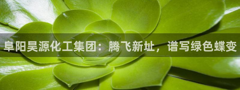 球盟会用的客服聊天是哪个软件