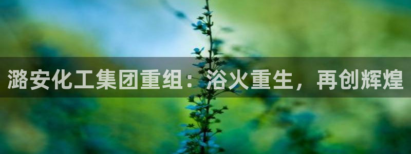 球盟会官方网站入口