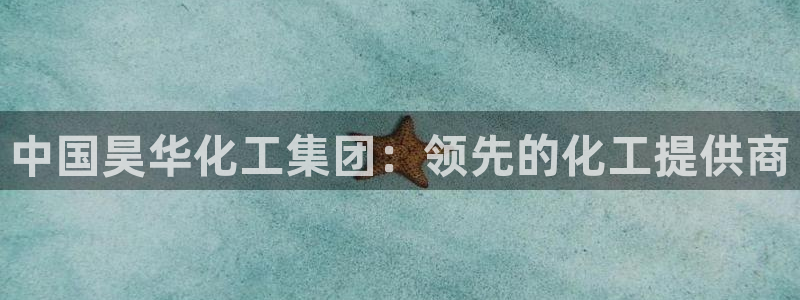 球盟会黑款吗知乎小说：中国昊华化工集团：领先的化工提供商