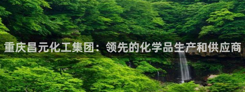 球盟会官方网站入口：重庆昌元化工集团：领先的化学品生产和供应