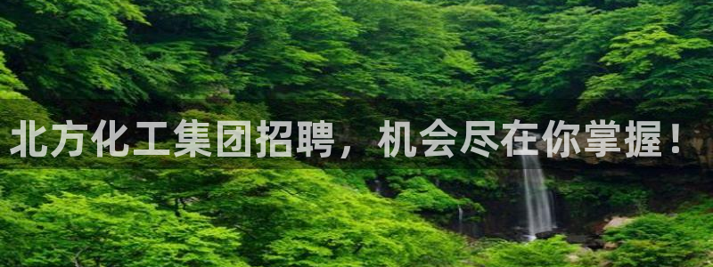 球盟会官方网站入口