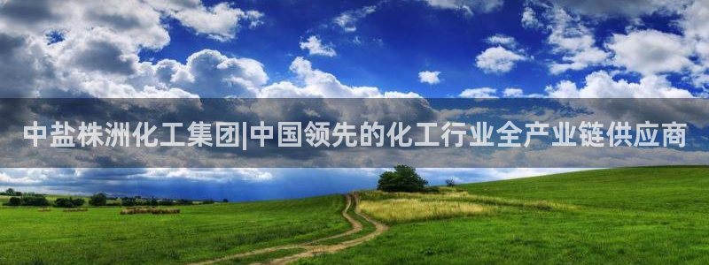 球盟会体育平台：中盐株洲化工集团|中国领先的化工行业全产业链