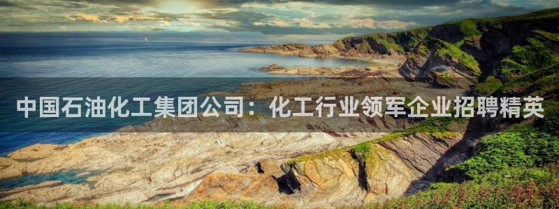 球盟会APP最新地址：中国石油化工集团公司：化工行业领军企业