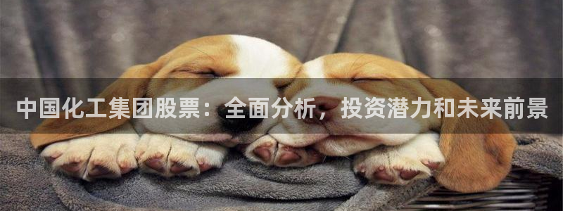 球盟会电子好黑：中国化工集团股票：全面分析，投资潜力和未来前