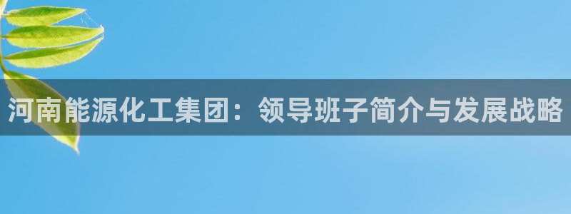 球盟会电子
