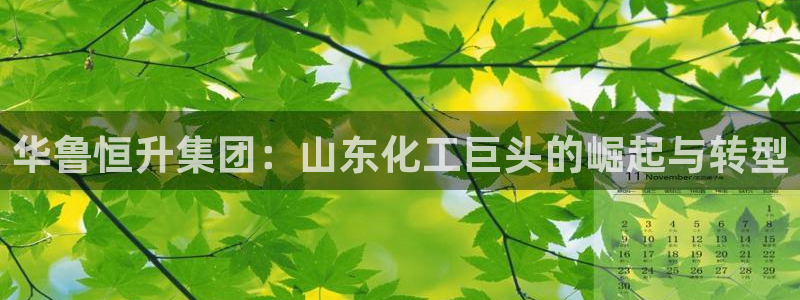 球盟会可以提现么是真的吗