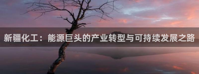 球盟会能提现吗