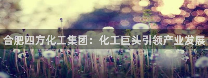 球盟会贴吧