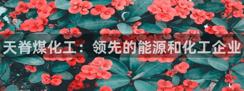 球盟会qm9：天脊煤化工：领先的能源和化工企业