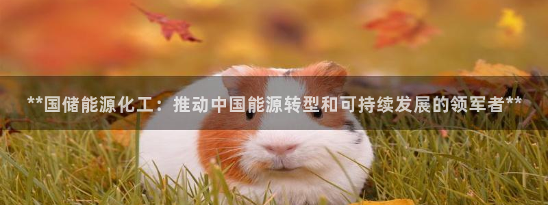 球盟会官网网页版：**国储能源化工：推动中国能源转型和可持续
