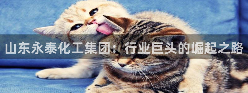 球盟会电子好下吗