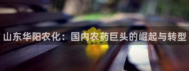 球盟会官方平台入口