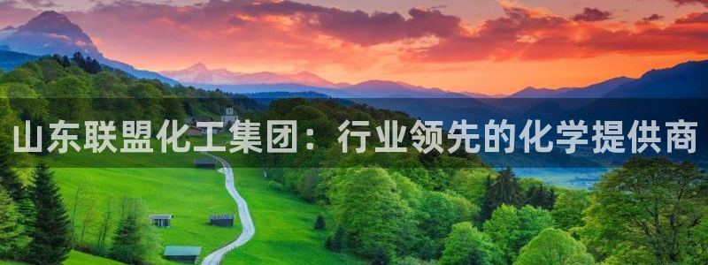 球盟会APP下载：山东联盟化工集团：行业领先的化学提供商
