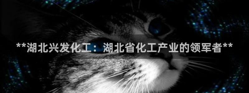 球盟会能提现吗是真的吗