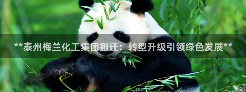 球盟会官网网页版：**泰州梅兰化工集团搬迁：转型升级引领绿色