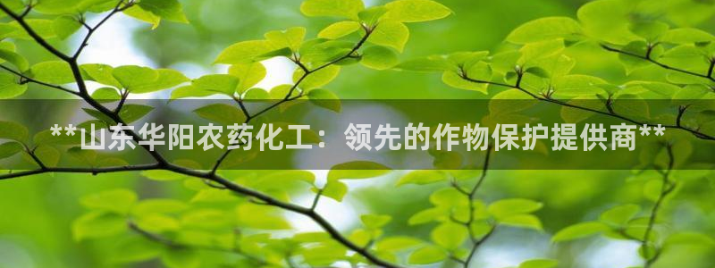 球盟会最新网：**山东华阳农药化工：领先的作物保护提供商**