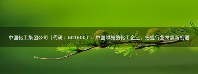 球盟会官方网站app：中国化工集团公司（代码：601600）