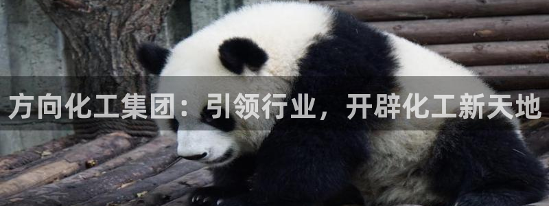 球盟会官方