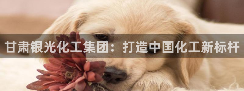 球盟会官方网站是什么
