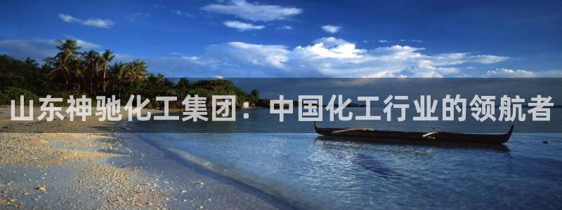 球盟会下载最新版：山东神驰化工集团：中国化工行业的领航者