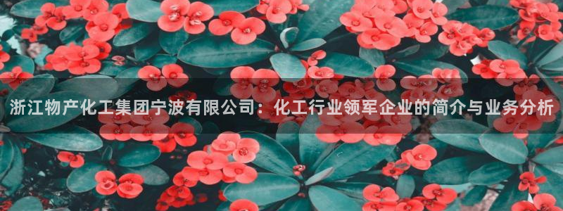 球盟会黑平台：浙江物产化工集团宁波有限公司：化工行业领军企业