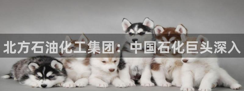 球盟会官方登录平台