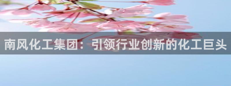 球盟会app入口：南风化工集团：引领行业创新的化工巨头