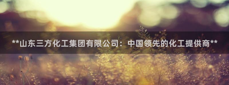 球盟会有没有黑单的球员