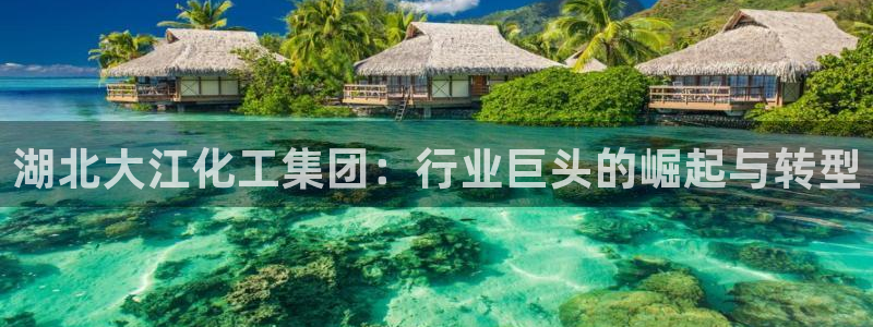 球盟会在线网站
