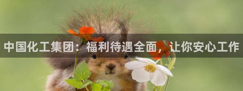 球盟会网页登录入口