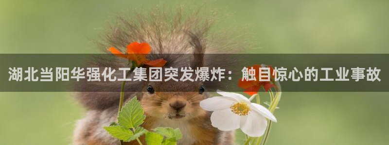 球盟会app安装