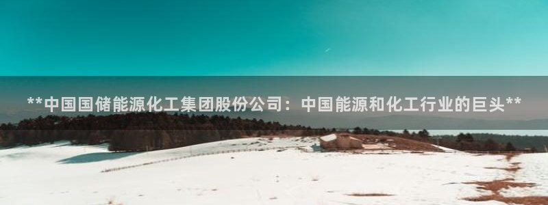 球盟会最新地址备用：**中国国储能源化工集团股份公司：中国能
